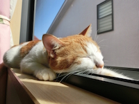 ラクをする ラクをする
